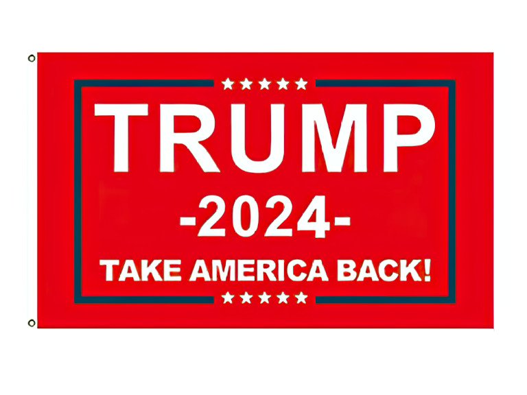 free trump 2024 take america back flag